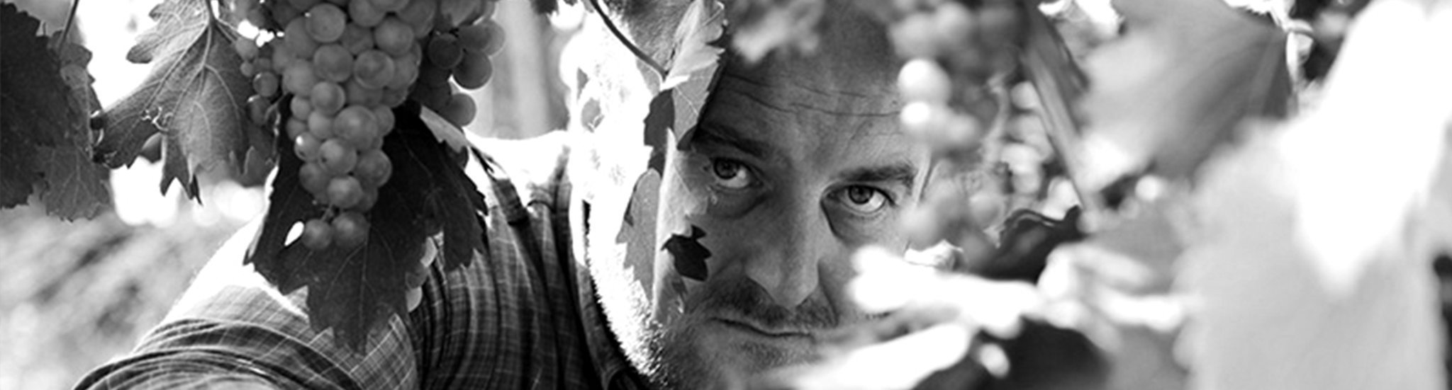 Varga Árpád - Gedeon Birtok